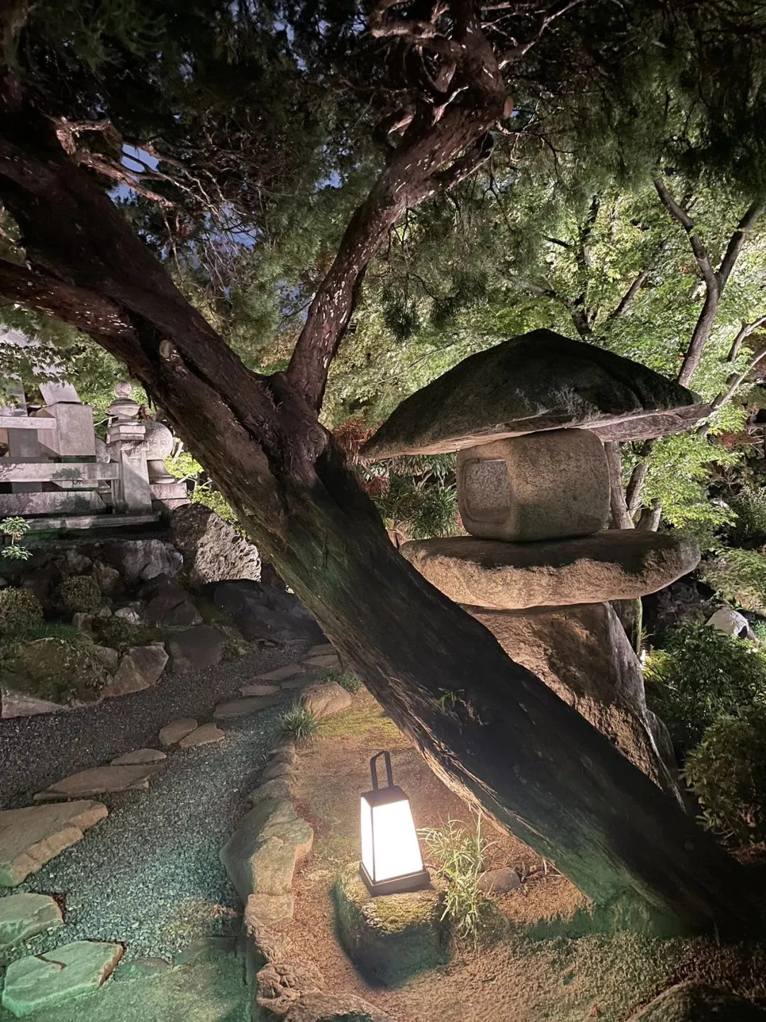 餐馆内景一隅